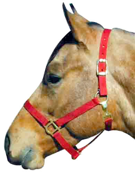 Economy Draft Horse Halter Nylon Halter with Throat Snap Draft Work Horse Halter Red