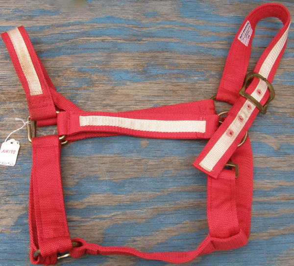 Draft Horse Halter Nylon Overlay Throat Snap L Draft Halter Red/White