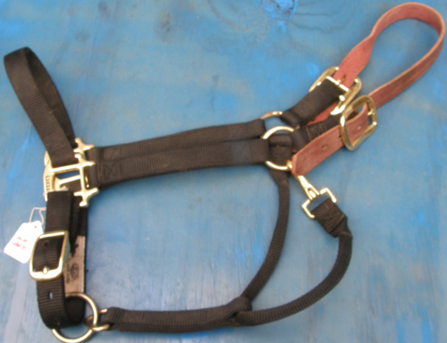 Weaver Breakaway Halter Adjustable Halter 1" Nylon Safety Halter Leather Crown L Horse Halter Black