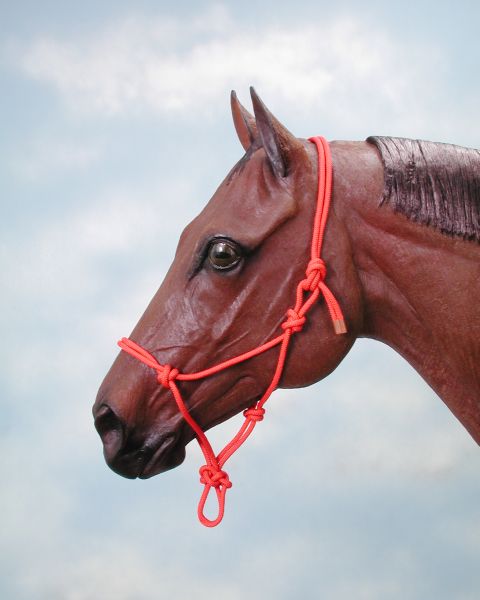 Click Here to View Halters and Leads!