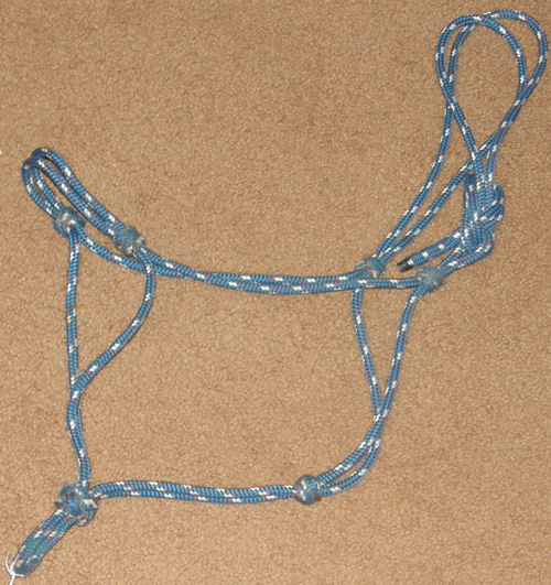 Poly Rope Tied Halter Rope Halter Cob/S Horse Blue/White