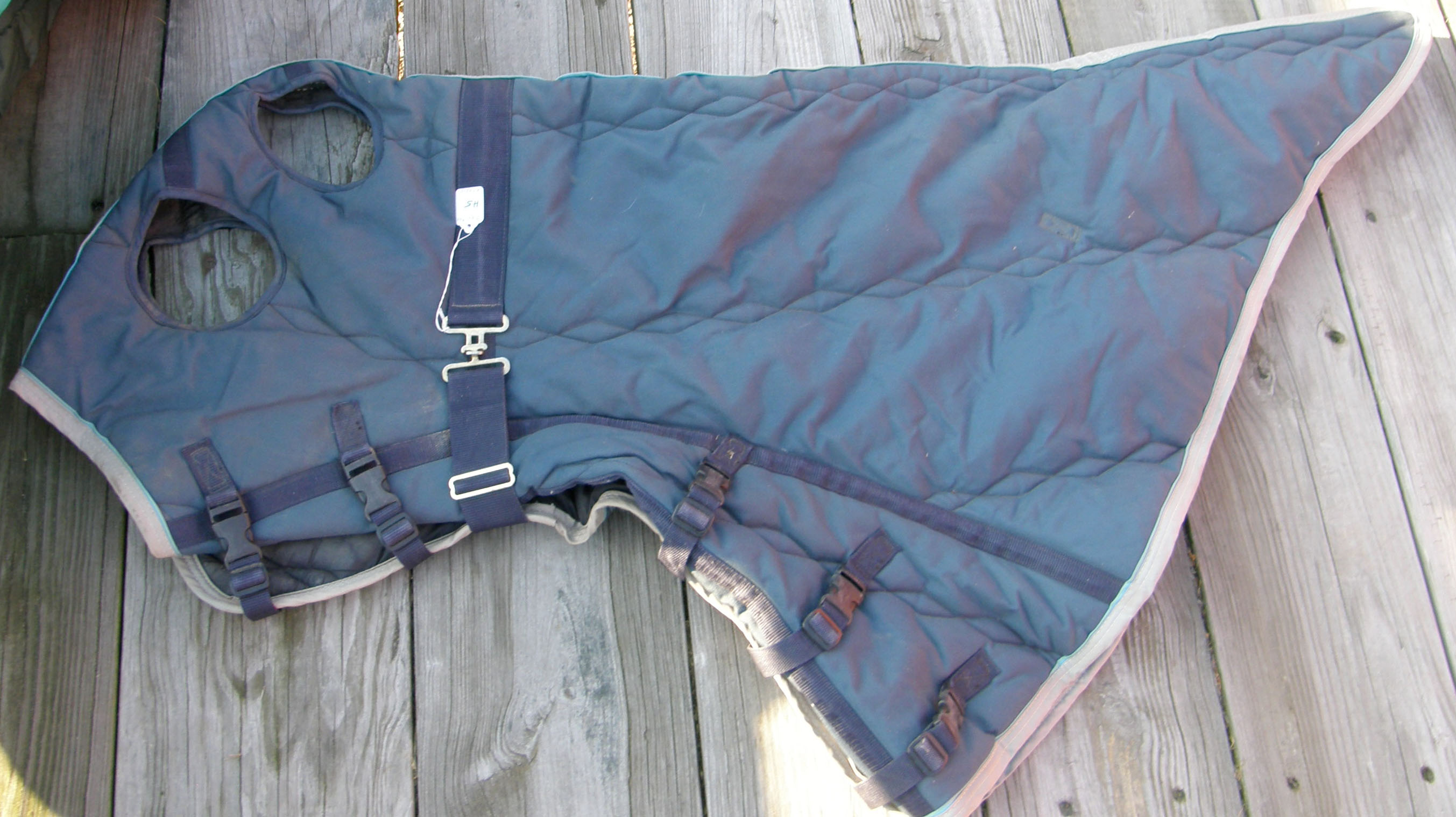 Big D Quilted Blanket Hood Quilted Nylon Hood L Horse Blue/Gray