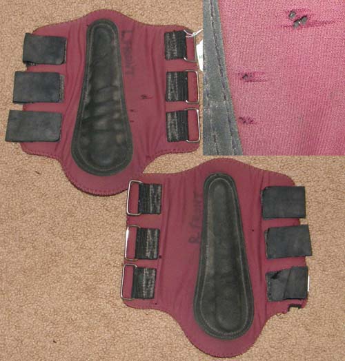 Neoprene Splint Boots Front Tendon Boots Leg Protection M Horse Plum