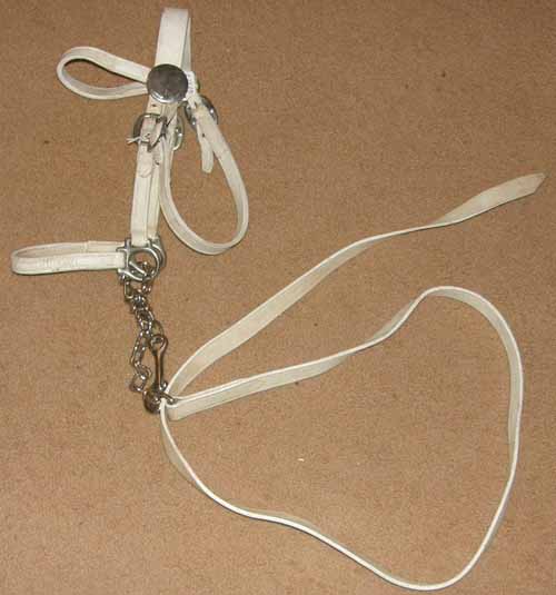Draft White Leather Show Halter Draft Show Halter & Lead with Chain Weanling Draft Foal