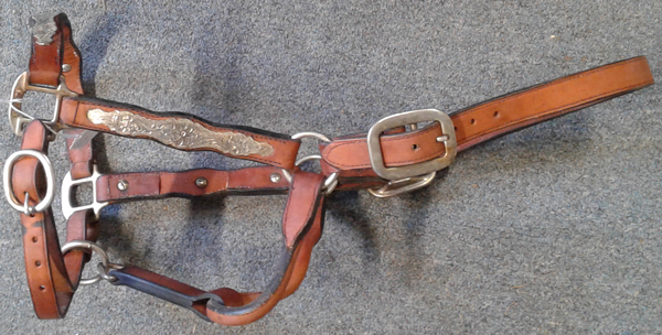 Pioneer Western Show Halter Stock Halter Silver Show Halter Chestnut Brown S Horse