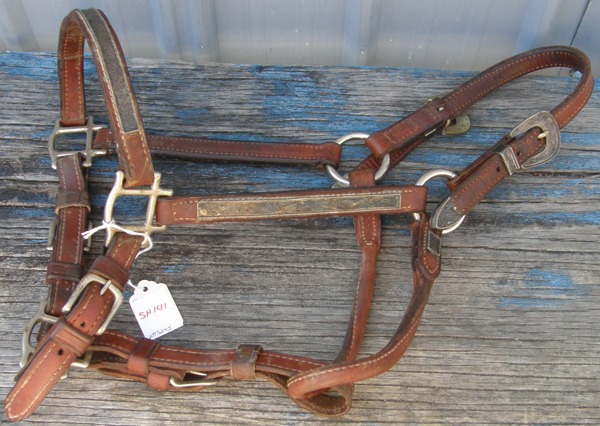Western Stock Show Halter Silver Show Halter Brown Mare/S Horse