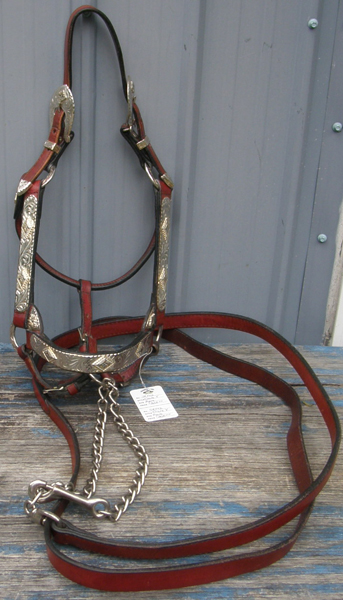 Circle Y Western Stock Halter Burgundy Leather Show Halter with Chain Lead Mexico Silver Trim Mare/S Horse
