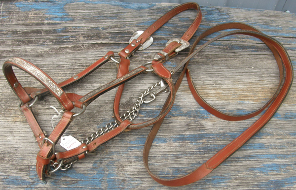 Montana Silversmiths Silver Buckle Western Stock Show Halter Silver Show Halter & Lead w/Chain Reddish Brown Mare/S Horse