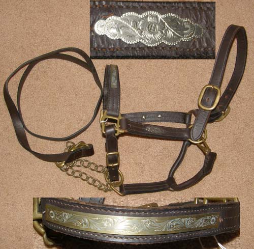 Western Show Halter Stock Halter Silver Show Halter Leather Track Halter with Engraved Mexico Silver Trim & Lead with Brass Chain L Horse
