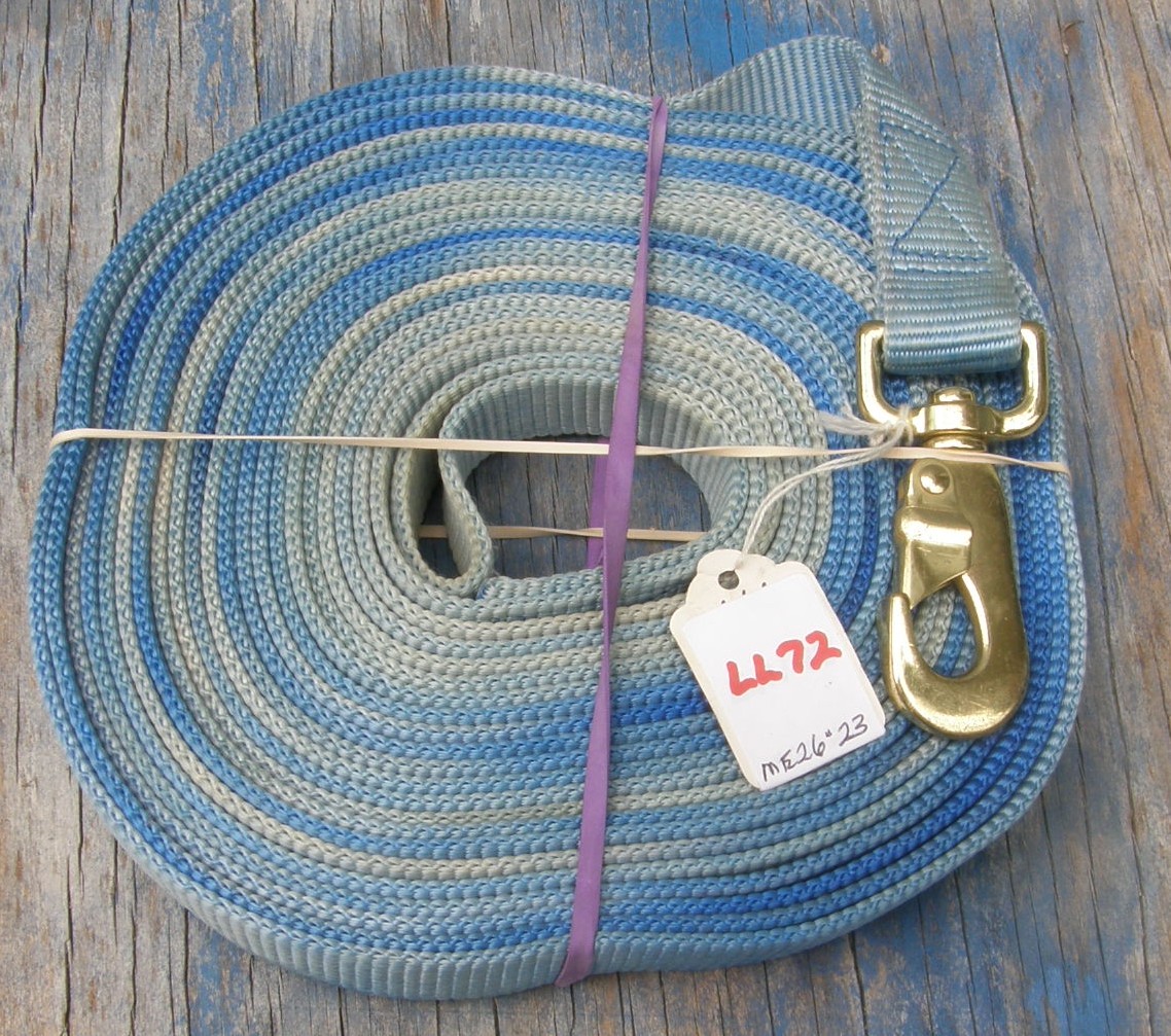 Nylon Web Lunge Line with Snap Longe Line Tie Dyed Lt Blue