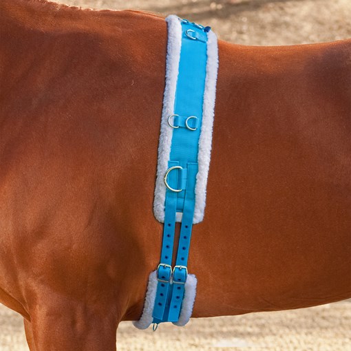 Shires Equestrian Nylon Roller with Fleece Lunge Surcingle Lunging Surcingle Longeing Surcingle Felt Lined Padded Nylon Training Surcingle Turquoise Blue