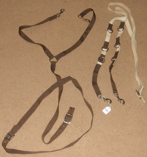 Nylon Web German Martingale with Reins Set Headsetter Head Setting Training Aide
