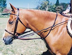 Tory Leather German Martingale with Reins Headsetter Head Setting Aide