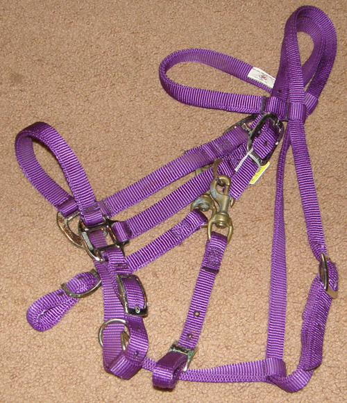 Tuffy Nylon Halter Bridle Combo Western Headstall Nylon Trail Bridle with Snap On Cheeks Purple Horse